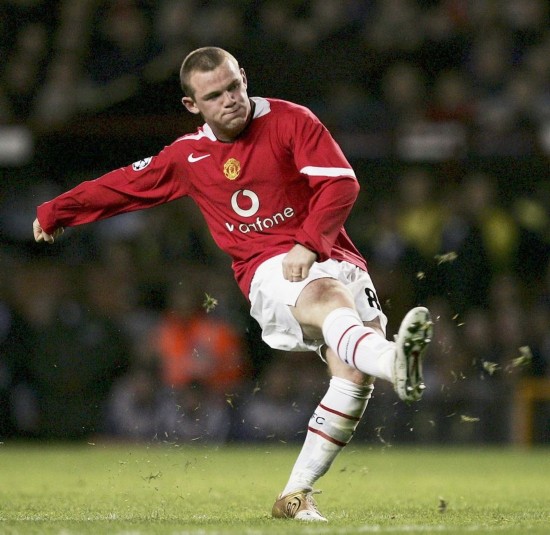 或许在新的 或许在新的